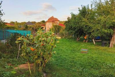 Casă cu 2 camere în Central - 5