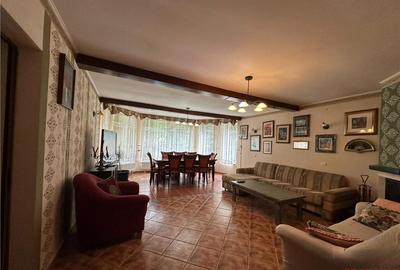 Casa deosebita in sat Podis - zona Dubas - 10