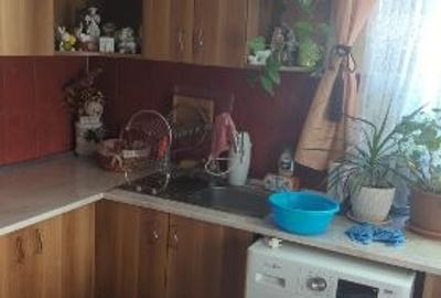 Duplex cu 4 camere cu Canalizare în Petrindu - 9