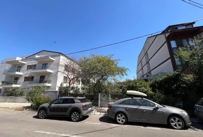 Teren str Renasterii Chitila - 2