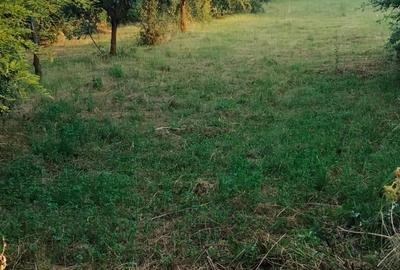 Teren în Măgurele - 2