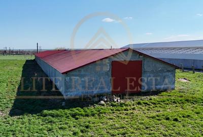 Tariverde - Ferma zootehnica functionala, 3 hectare teren intravilan! - 9