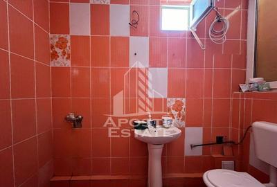 Casa invididuala cu 13 camere, situata in zona Mehala - 1