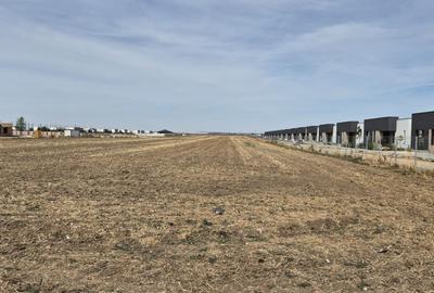 Teren intravilan 16.248 mp - Domnesti - 5