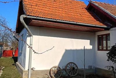 Casă cu 2 camere cu Teren 1800 Mp în Bumbești-Pițic - 4