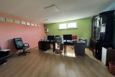 Spatiu industrial cu teren, hala, atelier, apartament, birou - 3