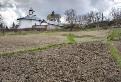 Casă cu 3 camere în Smulți - 7