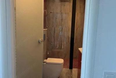 Garsonieră, mobilată în City Park Mall - 1