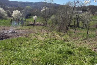 Teren de 376 mp, în Exterior Vest - 4