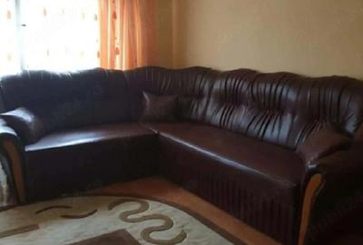 Apartament cu 3 camere semidecomandat în Nufărul - 2