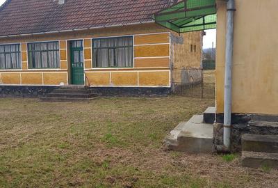 Casă cu 3 camere cu Teren 6400 Mp în Petriș - 5