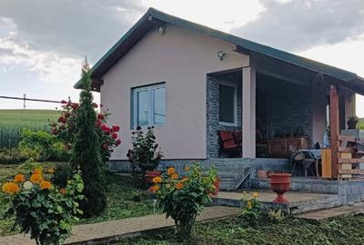 Casa de vacan?a in Ludu?, zona Candarai intre Cluj ?i Tg-Mure? - 2