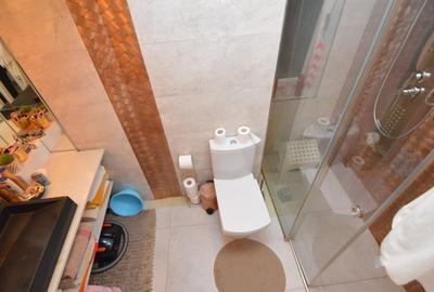 VANZARE APARTAMENT 3 CAMERE UNIRII – PIATA ALBA IULIA - 18