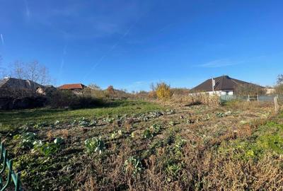 Spațiu comercial, în Mușătești - 6