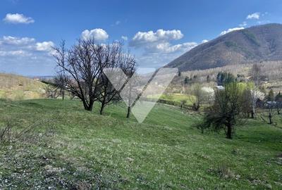 Teren Extravilan de 6630 mp - Cisnadioara - 6