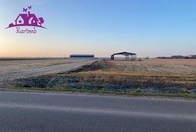 Parcele de teren industrial pentru diferite activitati economice - 5