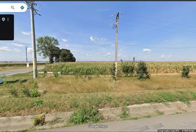Teren agricol extravilan de 5400 mp, în Săbăoani - 2