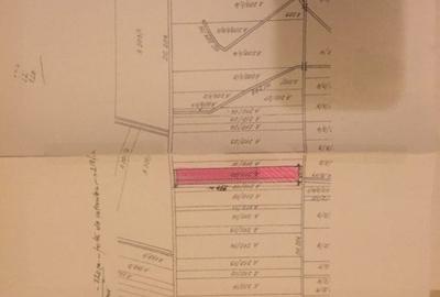 Teren 20000 mp intre Mosnita Veche si Bucovat - ID V4317 Teren 20000 mp intre Mosnita Veche si Bucovat - ID V4317 - 4