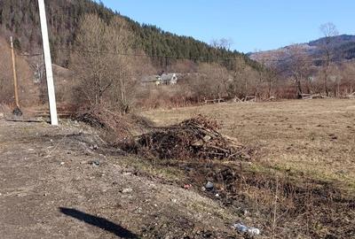 Spațiu comercial, în Pintic - 4