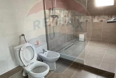 Casă cu 4 camere cu Teren 500 Mp în Vitrometan - 11