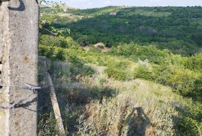 Teren, 3600mp, Drumul Vinului - 2