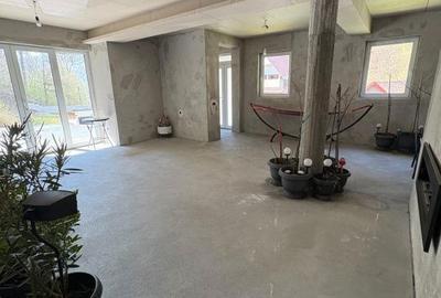 Casă cu 5 camere decomandat cu Teren 4700 Mp în Valea Roșie - 5