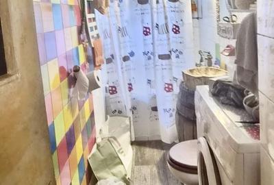 Apartament cu 2 camere nedecomandat în Dâmbu Pietros - 3
