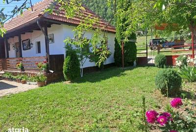 Casă cu 4 camere cu Teren 135 Mp în Certeju de Sus - 1