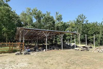 Spațiu comercial, de 500 mp, în Șimian - 6