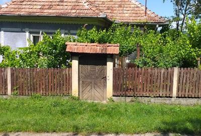 Casă cu 2 camere în Sic - 3