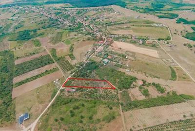 De vanzare Teren 3995mp intravilan Saldabagiu de Munte - 1