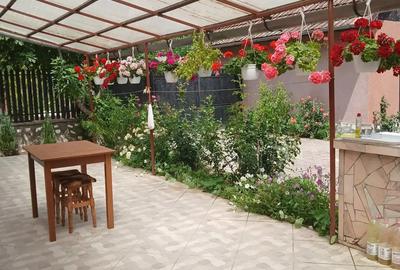 Casa P+E de vanzare in Ineu, jude?ul Arad - 5