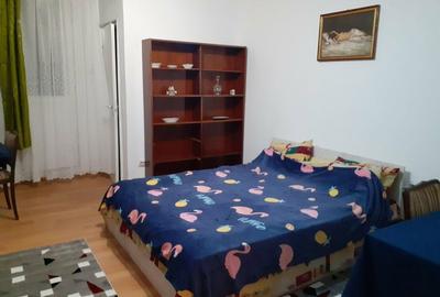Garsonieră semidecomandată în Dosu Bricii - 4