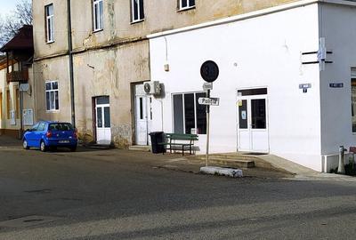 Casă în Baia de Criș - 1