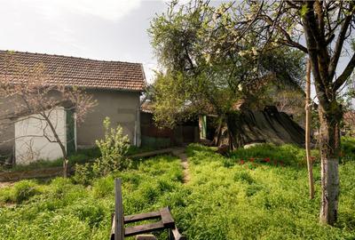 RECO casa cu teren generos in Santion - 6