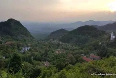 Teren de 27500 mp, în Săcărâmb - 5