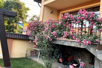 Casa Cristian direct proprietar. - 8