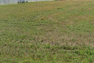 Spațiu comercial, în Făgăraș - 1