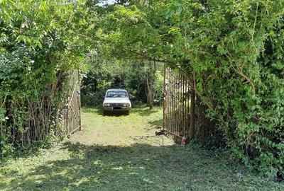 Teren intravilan, Carei, Gradina Viilor nr.79 - 2