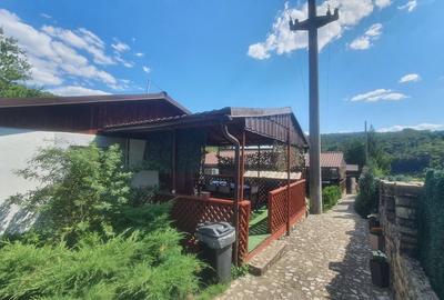 2 Cabane complet utilate, Dubova, Valea Ponicovei - 9