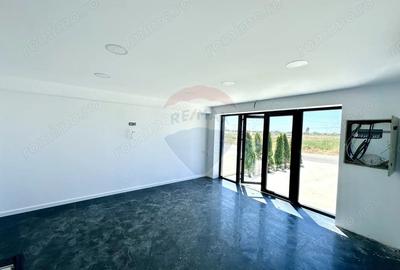 Spațiu comercial, de 425 mp, în Domnești - 6