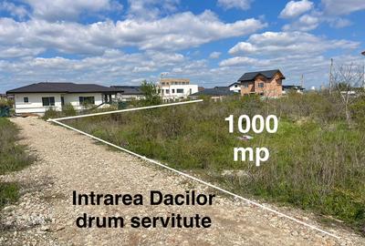Teren intravilan - Domnesti, Ilfov 1000mp - 7
