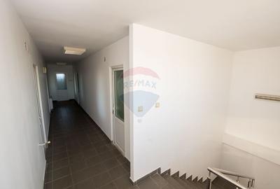 Hala industriala P+1 - 490 mp utili | Teren 2.447 mp | Platforma beton - 8