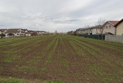 Teren Extravilan Padurea Craiului la intrarea in Com. Berceni | 3200mp - 1