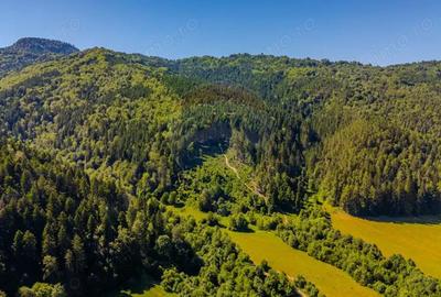 COMISION 0% Teren Bradet 7300 + 6000 mp/ Sacele /Intravilan - 6