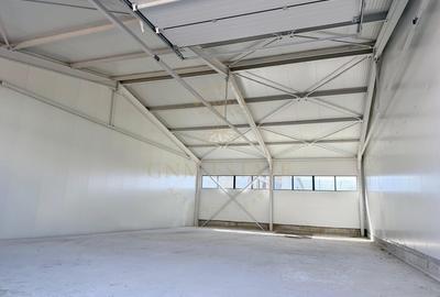 Spațiu industrial, de 150 mp, în Theodor Pallady - 4