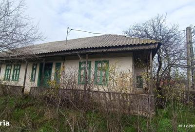 Teren de 3801 mp, în Dăeni - 5