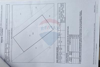 Teren 300 mp Cosoveni / Aleea Ulmului - 3