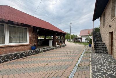 Casă cu 7 camere cu Teren 2500 Mp în Sucevița - 4