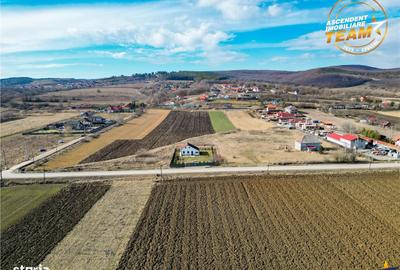 Teren de 31605 mp, în Ilieni - 8